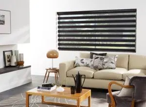 Black and white zebra shade above a cream sofa in a modern living room