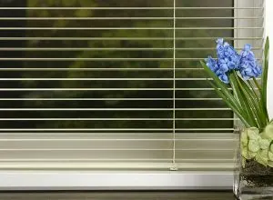 Thin-slat white horizontal blind with blue hyacinths on the sill