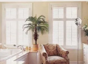 White shutters on two windows in a bathroom with a potted palm