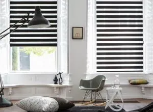 Black and white zebra shades on twin windows with a modern chair