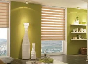 Beige zebra shade in a living room with olive green walls and shelves