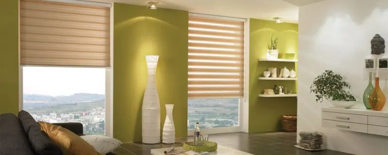 Beige zebra shade with olive walls and wall shelves in a lounge