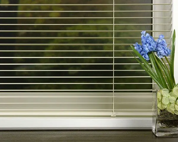 Thin white horizontal blind with blue hyacinths and blurred greenery